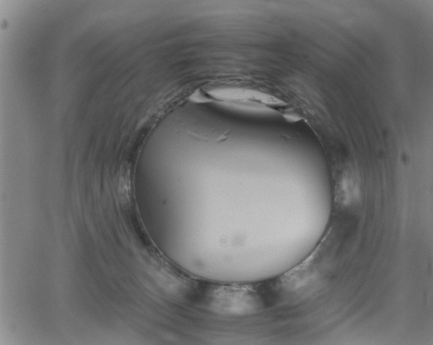 X0000062170179200512161300