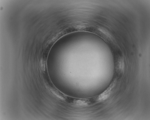 X0000062170180200512161300