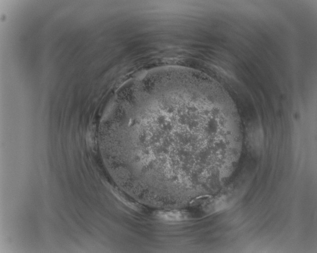 X0000062170181200512161300