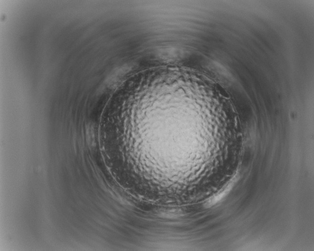 X0000062170182200512161300