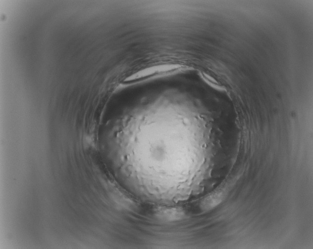 X0000062170185200512161300