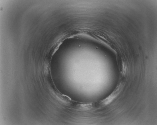 X0000062170188200512161300