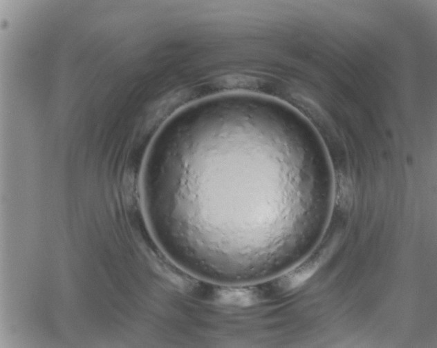 X0000062170189200512161300