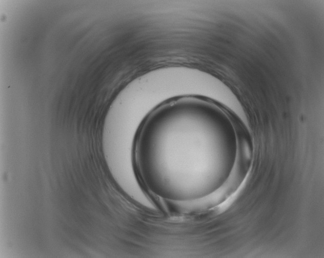 X0000062170190200512161300