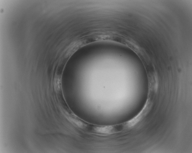 X0000062170191200512161300