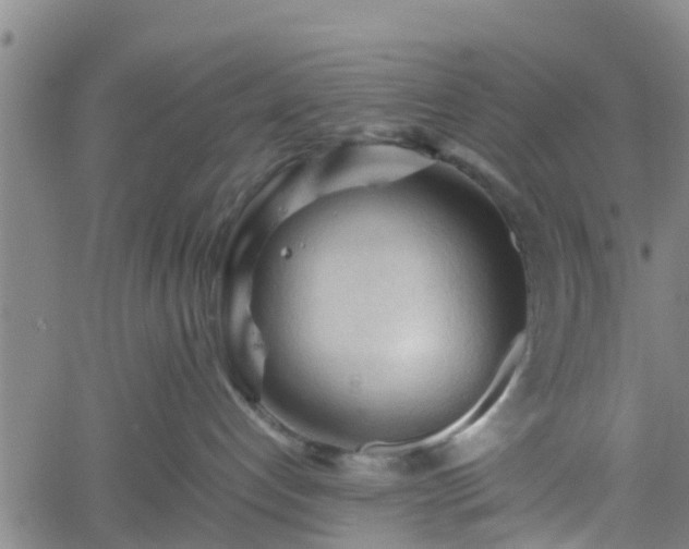 X0000062170192200512161300