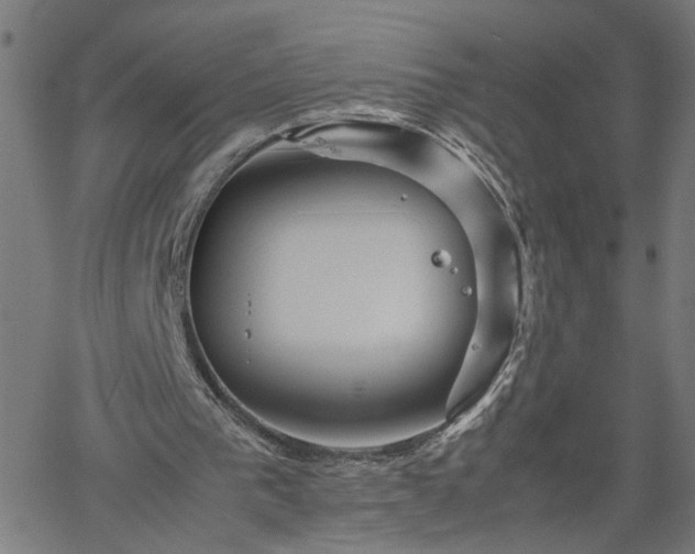 X0000062170193200512161300