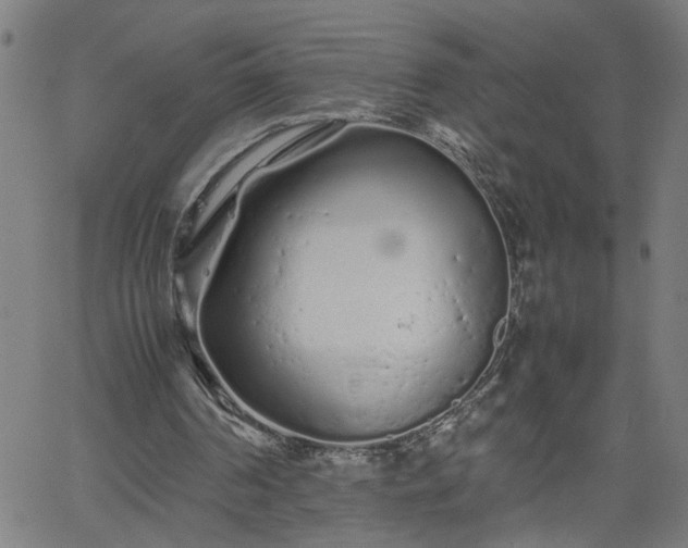 X0000062170194200512161300