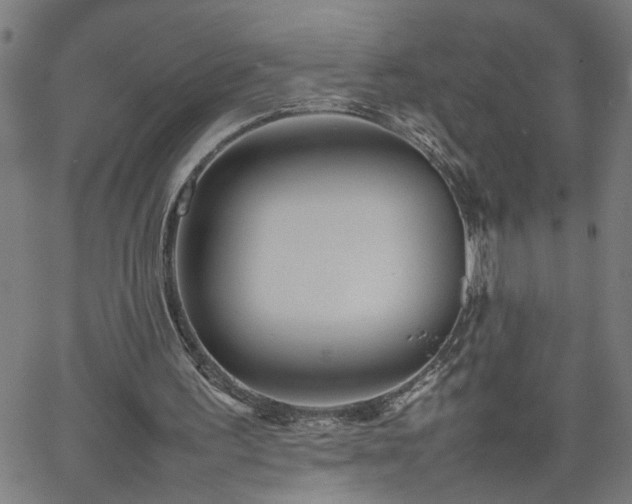 X0000062170195200512161300