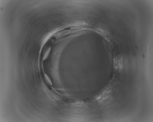 X0000062170196200512161259