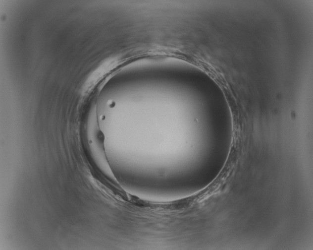 X0000062170197200512161259