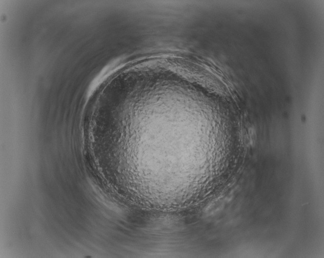 X0000062170198200512161259