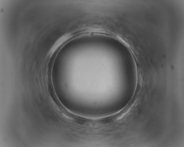 X0000062170199200512161259