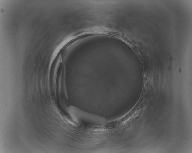 X0000062170200200512161259