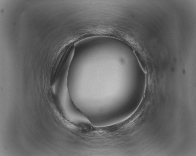 X0000062170201200512161259