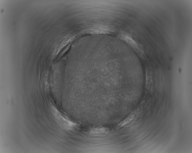 X0000062170202200512161259