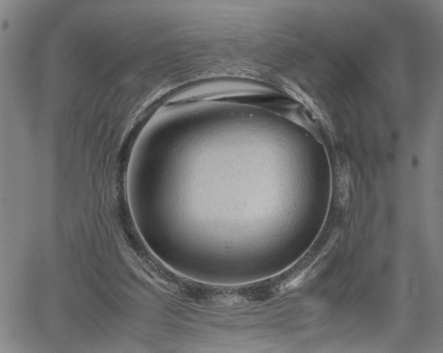 X0000062170203200512161259