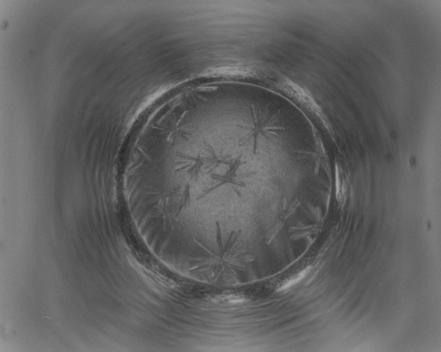 X0000062170204200512161259