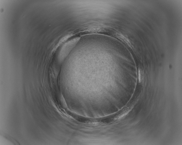 X0000062170205200512161259