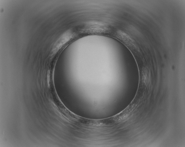 X0000062170206200512161259