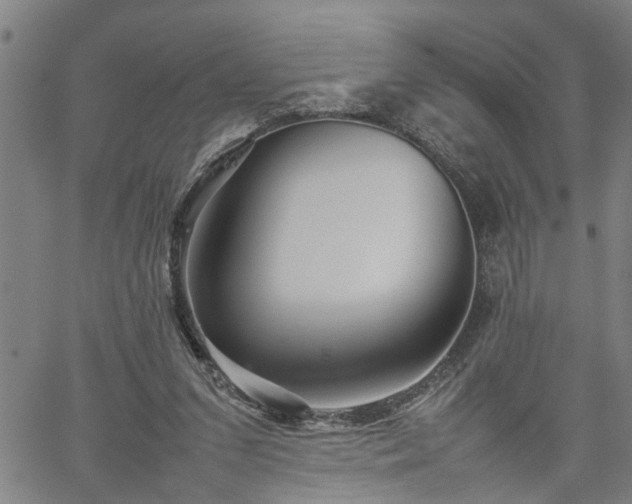 X0000062170207200512161259