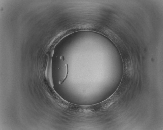 X0000062170208200512161259