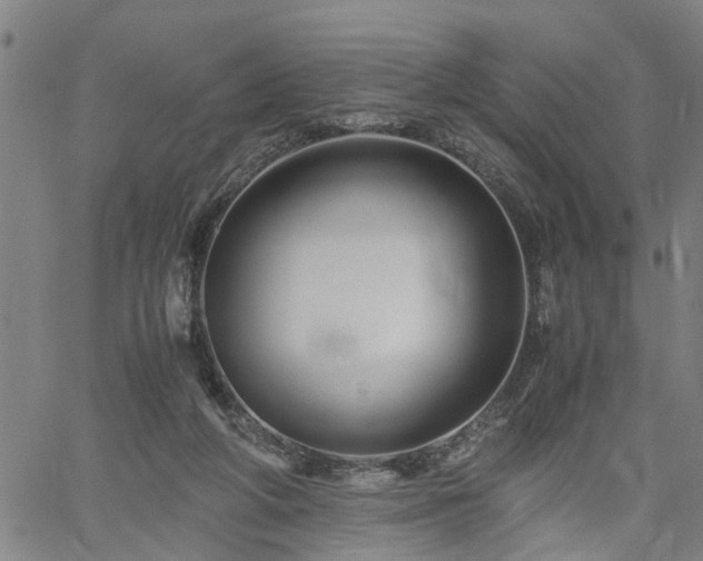 X0000062170210200512161259