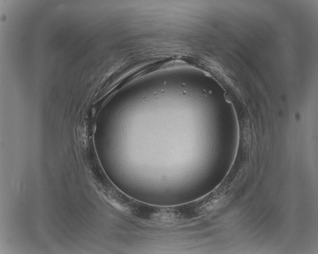 X0000062170211200512161259