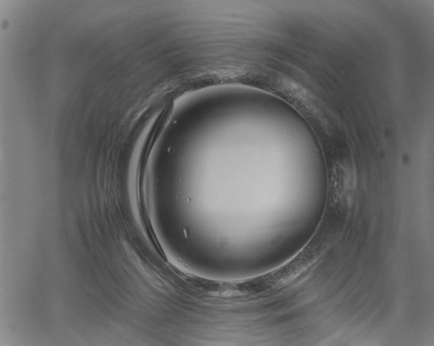 X0000062170212200512161259