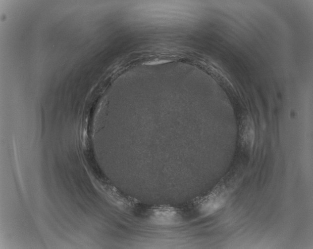 X0000062170214200512161259