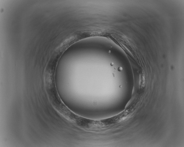 X0000062170215200512161259