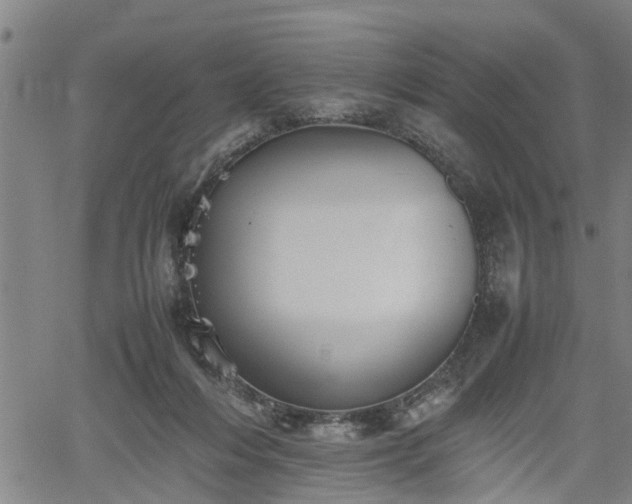 X0000062170216200512161259