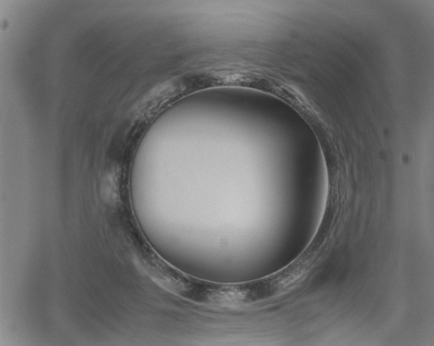 X0000062170217200512161259