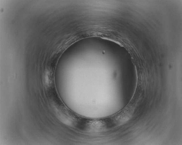 X0000062170218200512161259