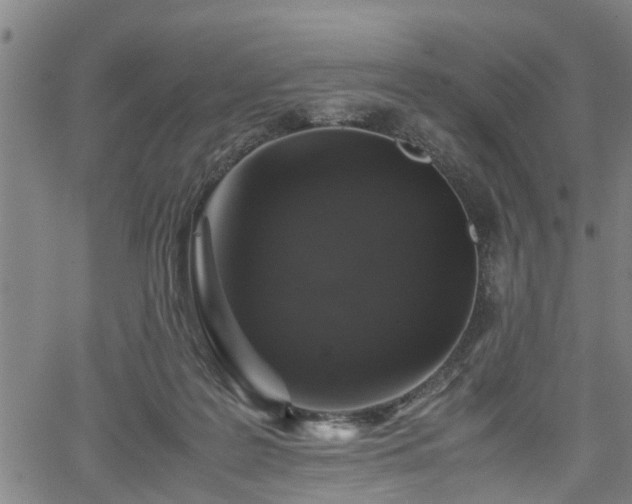 X0000062170219200512161259