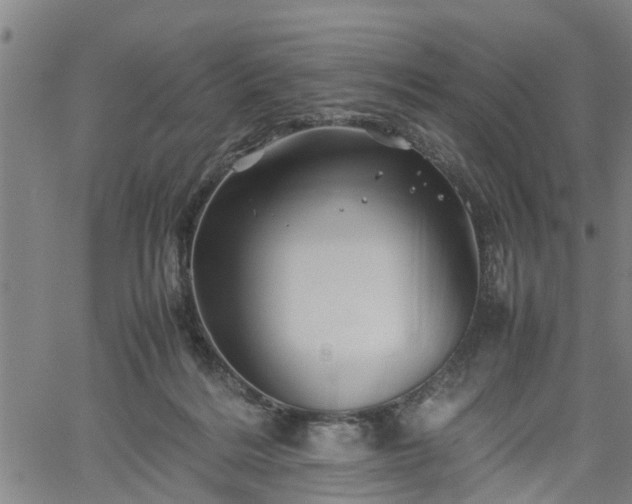 X0000062170220200512161259