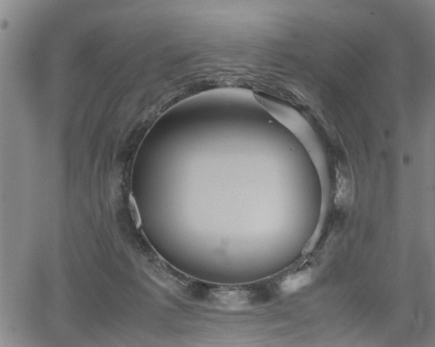 X0000062170221200512161259