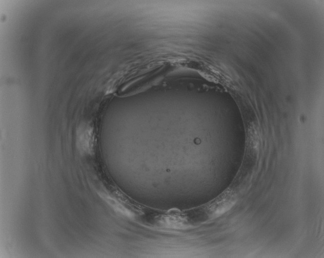 X0000062170223200512161259