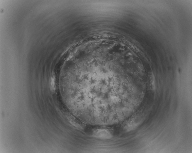 X0000062170224200512161259