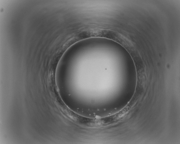 X0000062170225200512161259