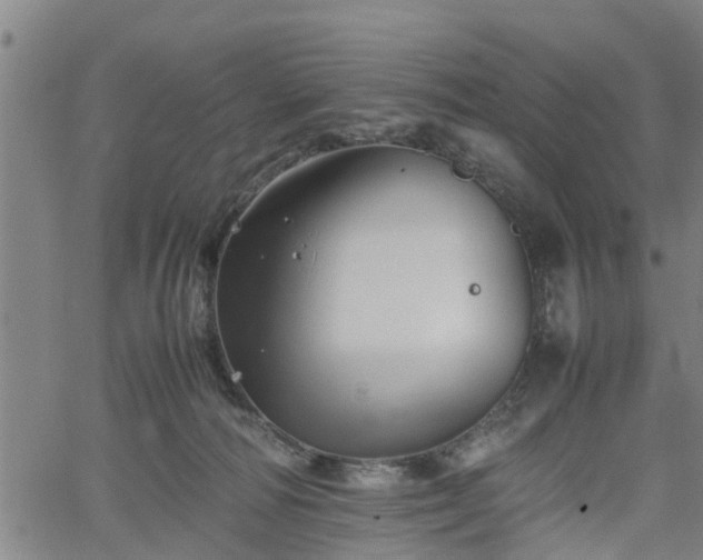 X0000062170226200512161259