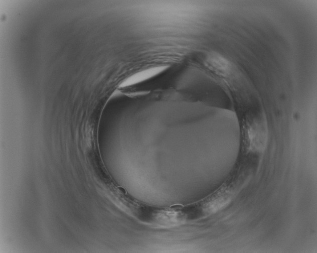 X0000062170227200512161259