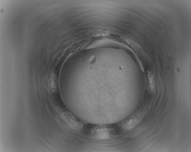 X0000062170228200512161259