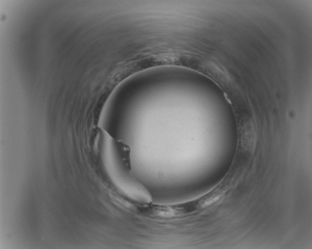 X0000062170229200512161259