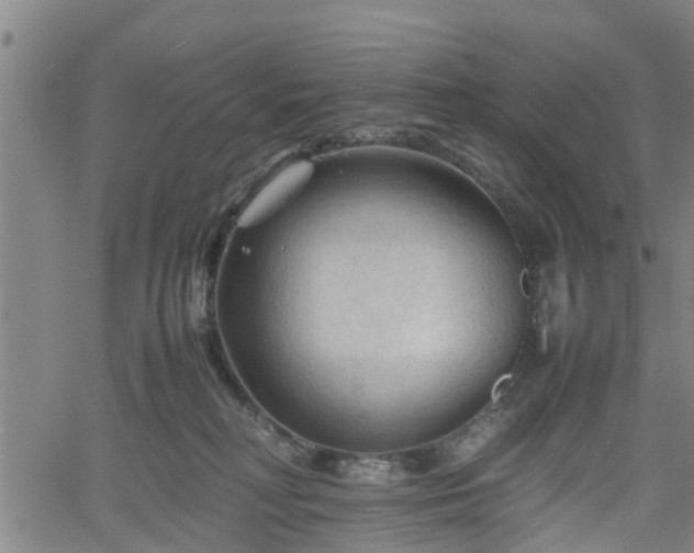 X0000062170230200512161259