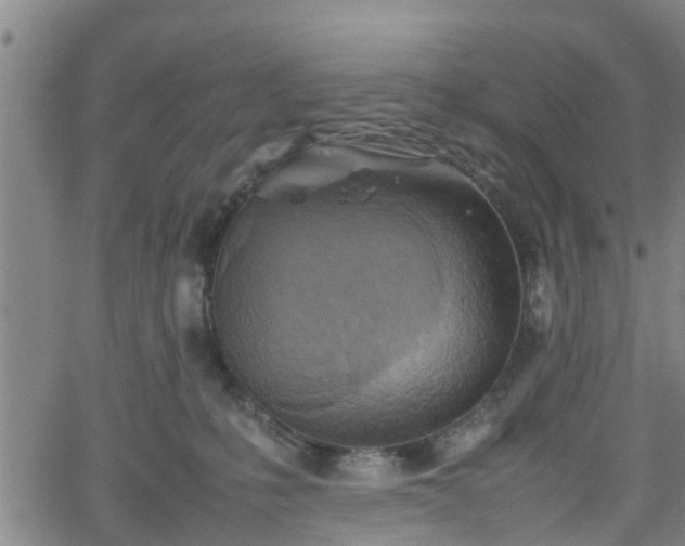 X0000062170231200512161259