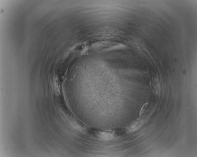 X0000062170232200512161259