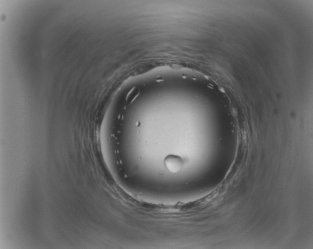 X0000062170233200512161259