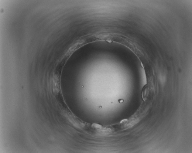 X0000062170234200512161259