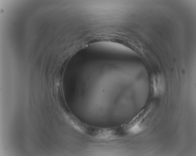 X0000062170235200512161259